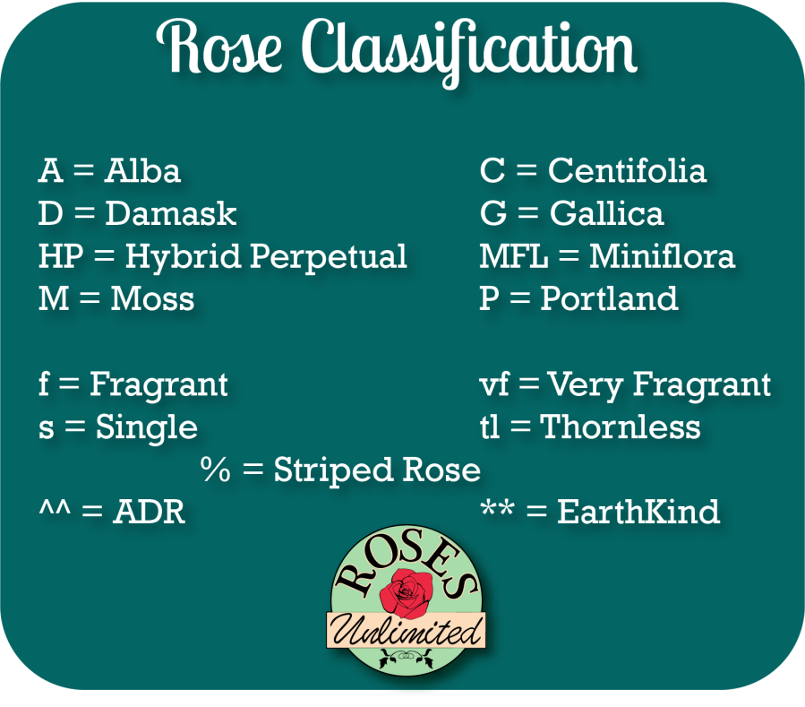 rose-classification-with-vector-logo